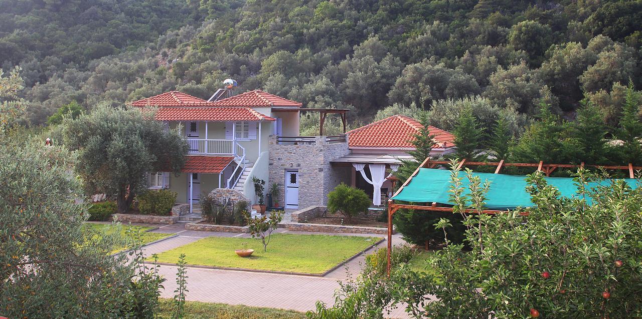 Ktima Kehrioti Villa Panormos  Bagian luar foto